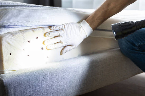 Best Best Pest Control Companies  in Lame Deer, MT
