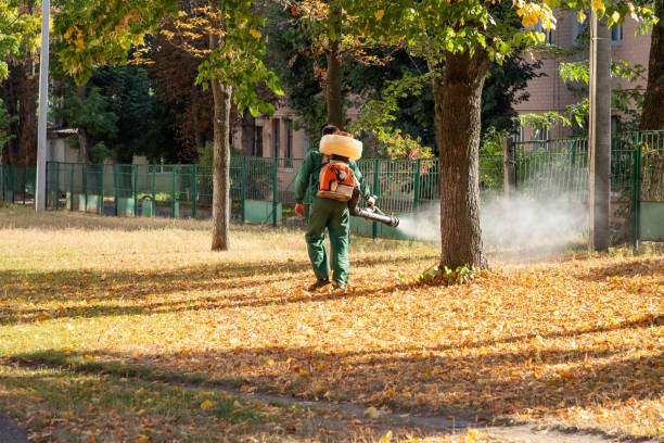 Best Mosquito Control Services  in Lame Deer, MT